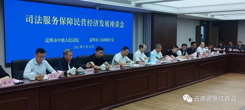 我会领导应邀出席昆明市司法服务保障民营经济发展座谈会并发言