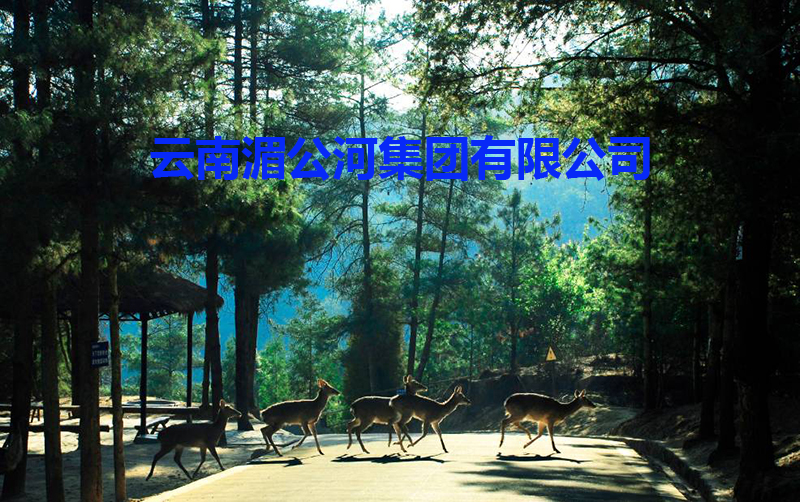 我会常务副会长单位——云南湄公河集团