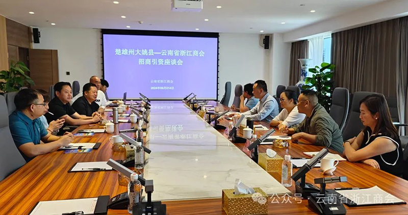 楚雄州大姚县领导一行到商会座谈交流