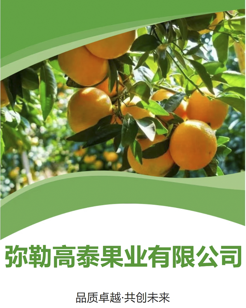 商会副会长单位——弥勒高泰果业有限公司