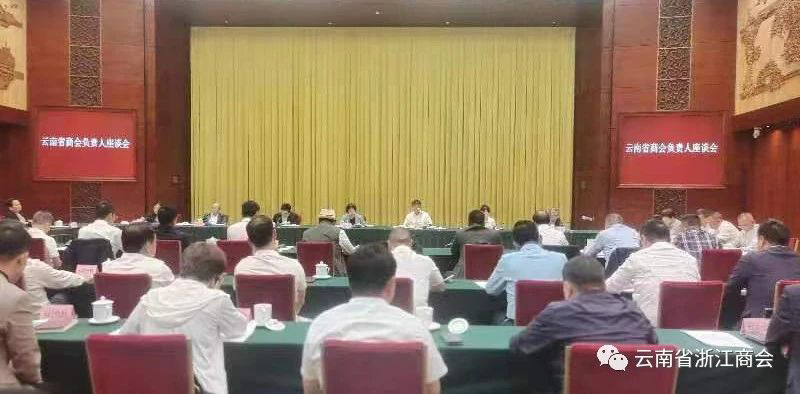 我会领导参加云南省商会负责人座谈会并发言